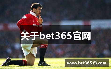 关于bet365官网